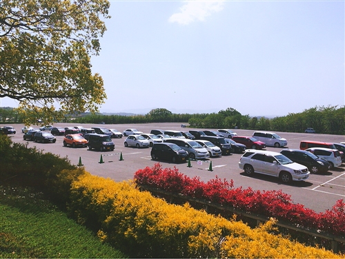 <% pageTitle %>” /></p>
<p>下の写真は、駐車場からみたブルーメの丘。<br />
まだ園内には入っていないのに、いきなり美しいです。</p>
<p class=