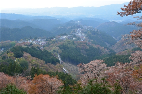 <% pageTitle %>” /></p>
<p>吉野山とは、山ひとつではなく、山の一部分を吉野山と呼んでいるようですね。<br />
この吉野山は、日本一の桜の名所として有名です。<br />
さて、ここでクイズです。<br />
日本一桜の多いところは、吉野山でしょうか？<br />
そう、吉野山が一番桜が多いのです。<br />
花見特集2017（ジョルダン株式会社）によると、桜の本数ランキングは以下のようになっています。<br />
1位　吉野山（奈良県）約3万本<br />
2位　狭山湖（埼玉県）約2万本<br />
3位　富士山吉田口登山道中ノ茶屋エリア（山梨県）<br />
断トツで桜が多いのが吉野山のようですね。<br />
参考：https://sp.jorudan.co.jp/hanami/rank_sakura.html</p>
<h3>２．吉野山で桜の一番キレイな場所は？</h3>
<p>「吉水神社」から見る桜はとても美しいです。<br />
吉水神社のビューポイントは、千本の桜を一目で見渡せるところから、「一目千本」と称されるほどです。<br />
吉水神社は、近鉄吉野駅から2.1km。<br />
その道中には、下千本の桜や沢山の飲食店が立ち並んでいます。</p>
<h3>３．吉野山でのランチ＆食べ歩き</h3>
<p>吉野山で、美味しいランチが食べたい。<br />
食べ歩きもしたい。<br />
ランチには、名物郷土料理が食べてみたい。<br />
などなど、人ぞれぞれ希望があると思います。<br />
しかし、吉野山は、奈良県の山奥。<br />
選べるほどの飲食店はあるのでしょうか？<br />
安心してください。<br />
吉野山には、たくさんのお店があります。<br />
吉野山には沢山の観光客が訪れるため、食べる所にはそれほど困りません。<br />
ここでは、吉野山で食べることができるランチを全てご紹介することはできませんので、一部ご紹介したいと思います。<br />
わらび餅</p>
<p class=